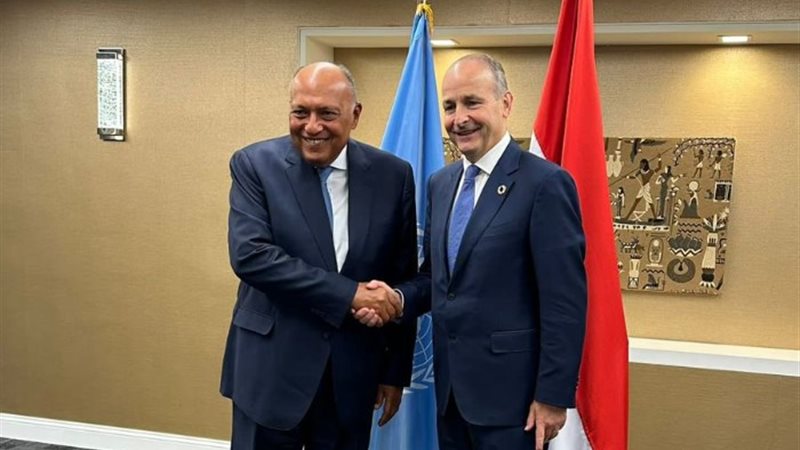 وزير الخارجية الأيرلندي وسامح شكري