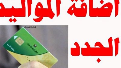إضافة المواليد على بطاقة التموين بهذه الخطوات على بوابة مصر الرقمية