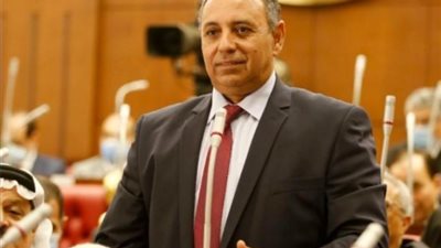«إرادة جيل» ينظم مؤتمرا جماهيريا لدعم المرشح السيسي السبت