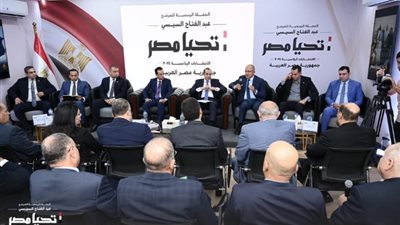 حملة «السيسي» تنشر فيديو يحمل عنوان «شعب واحد تحت راية طن واحد»