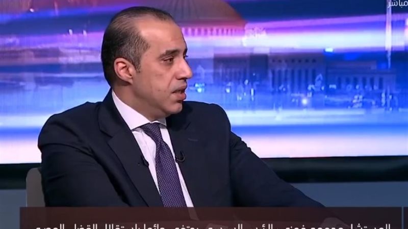المستشار محمود فوزي