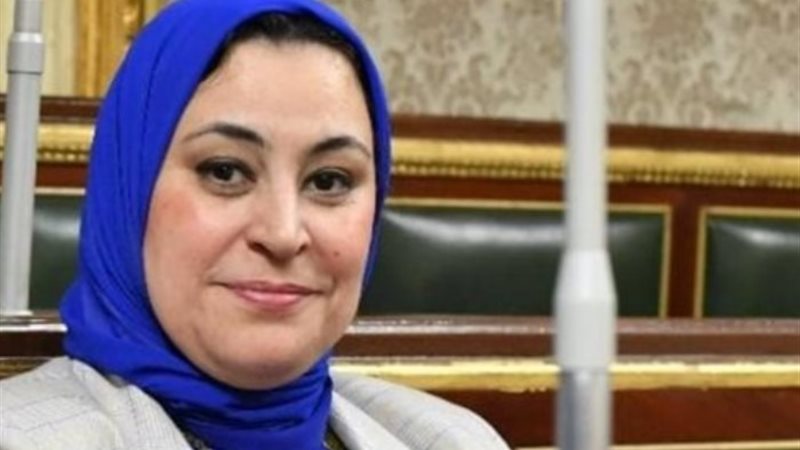 النائبة ولاء التمامي