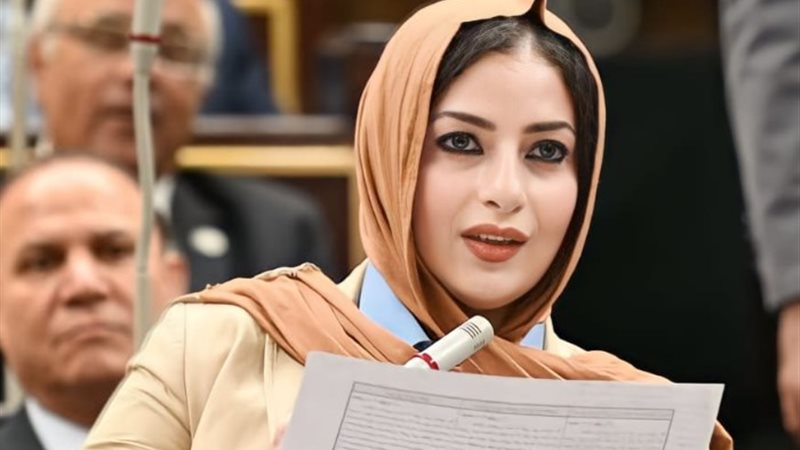 النائبة آيات الحداد
