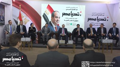 خلال لقائه حملة السيسي.. «حماة الوطن» يتبرع بـ10 ملايين جنيه لغزة