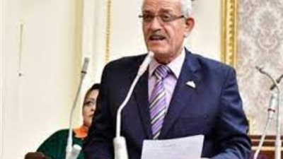 رئيس برلمانية التجمع: نرفض التهجير .. ولا مساس بأمن مصر