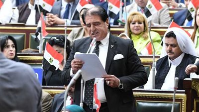 رئيس عربية النواب: الدور المصري في دعم القضية الفلسطينية لا ينكره إلا جاحد