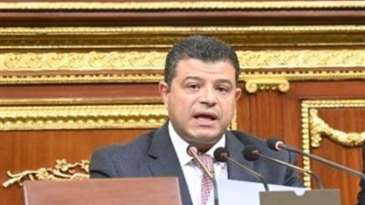 برلمانى: تهجير الفلسطينيين مرفوض.. والرئيس كان يقظا للمخطط منذ البداية