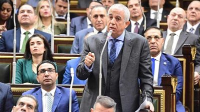 رئيس خارجية النواب: لا صوت يعلو  في منازل مصر على حرب الإبادة الاسرائيلية