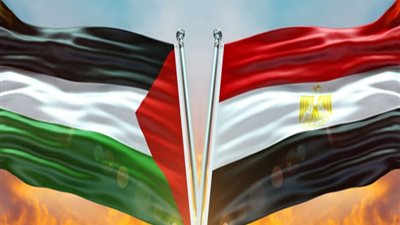 مصدر لـ«القاهرة الإخبارية»: مصر تؤكد مواصلة دورها المحوري فى أزمة غزة