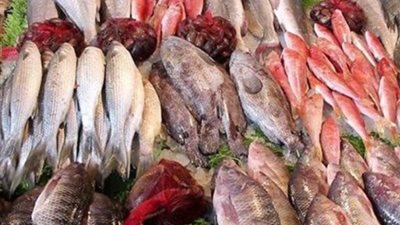 الجمبري يصل لـ400 جنيه.. أسعار الأسماك اليوم الأربعاء 22-11-2023