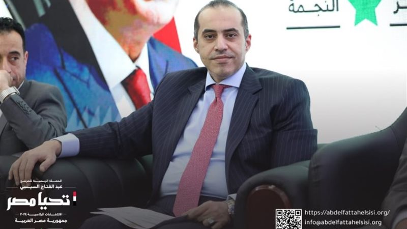 المستشار محمود فوزي