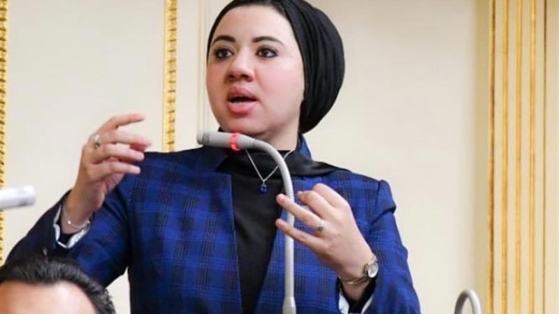 النائبة أميرة صابر