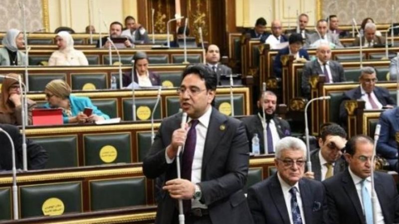 النائب أيمن محسب