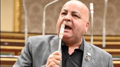 برلماني: الرئيس السيسى قدم دورا بارزا لتحقيق هدنة غزة