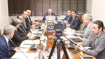 وزير الزراعة يحدد السعر الاسترشادي لإردب القمح