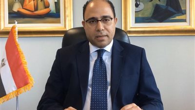 ‏الخارجية ترد على تصريحات برلمانى هولندى متطرف:تهجير الفلسطينيين خط أحمر