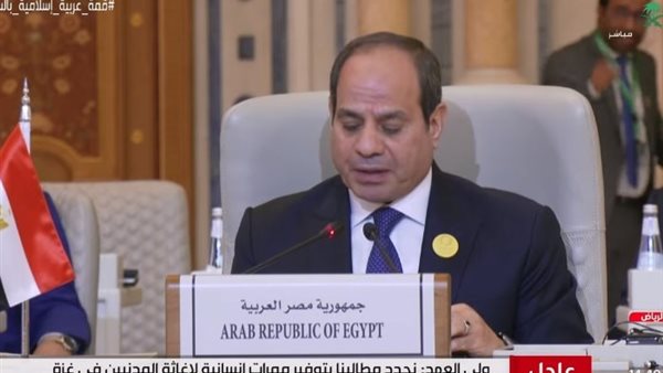 الرئيس السيسي