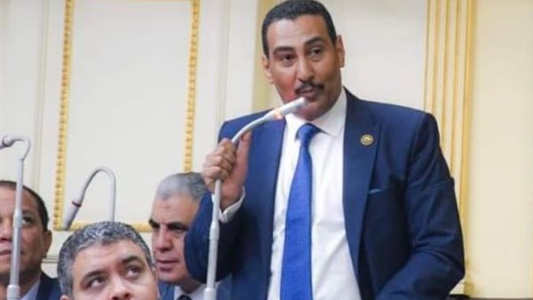 النائب محمد الجبلاوي
