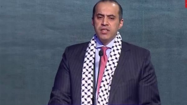 المستشار محمود فوزي