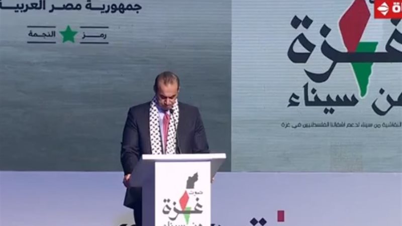 المستشار محمود فوزي