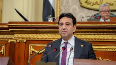 أيمن محسب : جهود مصر  مستمرة للتوصل لتسوية عادلة للقضية الفلسطينية