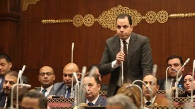 عضو بالشيوخ: الدولة وضعت إجراءات وضوابط تجعل العملية الانتخابية أكثر شفافية