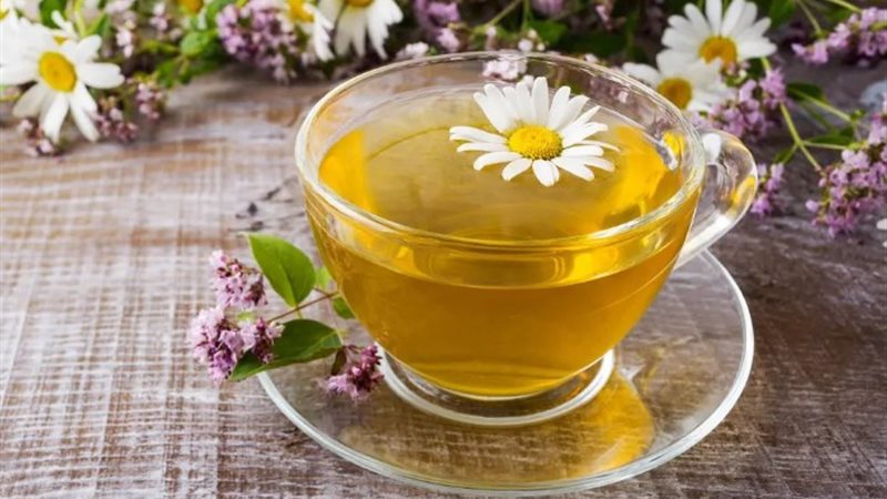 البابونج