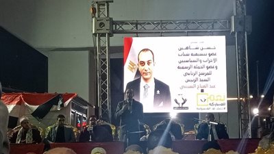 عضو تنسيقية الأحزاب يطالب بضرورة المشاركة في الانتخابات الرئاسية