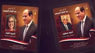 محبو السيسي بأمريكا ينشرون فيديو «انزل وشارك» لحث الناخبين على التصويت