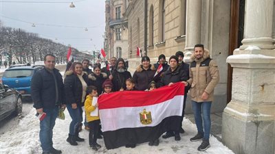 درجة حرارة 8 تحت الصفر.. المصريون بالسويد يشاركون في الانتخابات