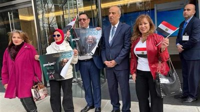 الشباب المشهد الأبرز في الانتخابات الرئاسية للمصريين في الخارج.. صور
