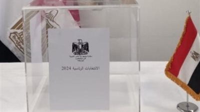 بدء تصويت المصريين بإندونيسيا وفيتنام