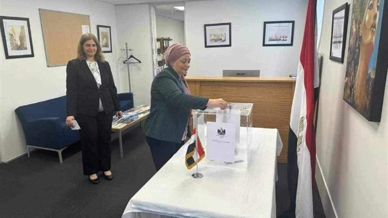 المصريين في الخارج
