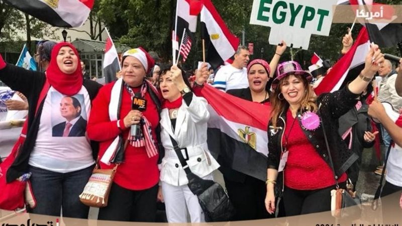 الجالية المصرية في الولايات المتحدة الأمريكية