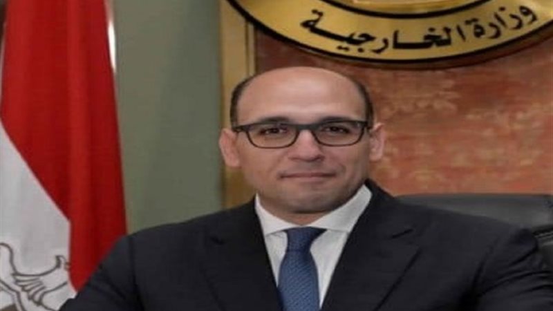 السفير أحمد حافظ