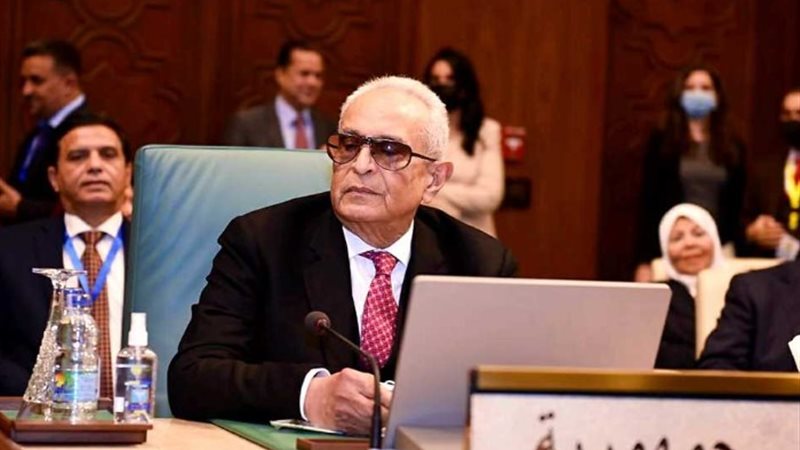 المستشار بهاء أبوشقة وكيل مجلس الشيوخ