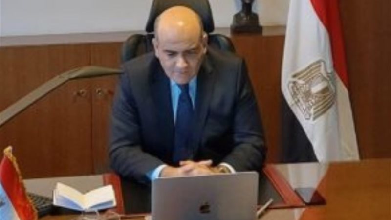 السفير حاتم عبد القادر