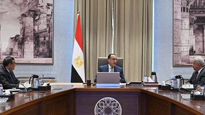 الحكومة تتابع مشروع لإنتاج الأمونيا الخضراء باستثمارات تصل لمليار دولار