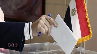المصريون ببلجيكا يشيدون بتنظيم انتخابات الرئاسة ويحرصون على المشاركة.. فيديو
