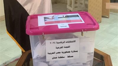 سفارتا مصر بالإمارات وسلطنة عمان تغلقان باب التصويت