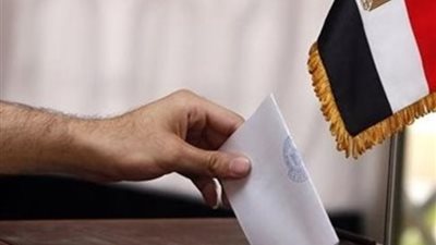 المصريون في كندا يواصلون التصويت في الانتخابات رغم سقوط الثلوج.. فيديو