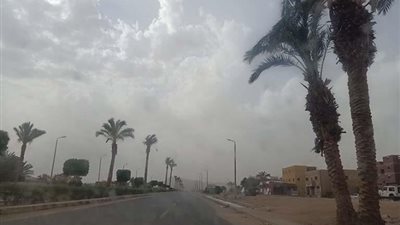 الأرصاد تحذر من  شبورة صباحية تصل إلى الضباب بالطرق السريعة