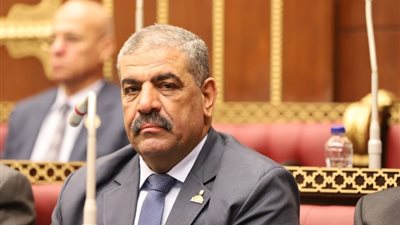 نائب الشيوخ: أدعوا الأسر المصرية للمشاركة في الانتخابات الرئاسية