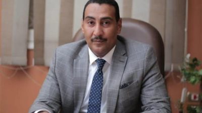 «طاقة النواب»: مشهد المصريين في الخارج دافع للناخبين بمصر