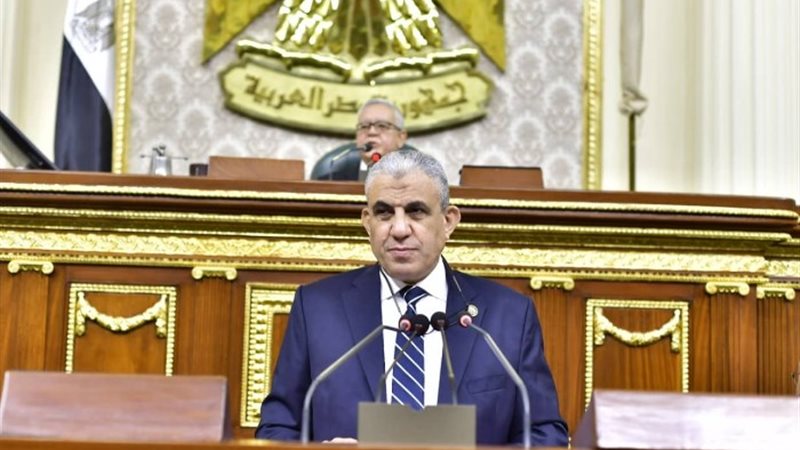 النائب عادل عبد الفضيل