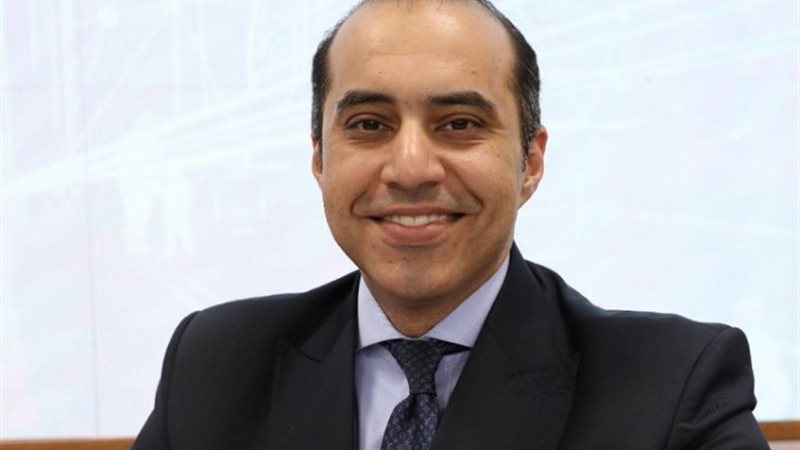 المستشار محمود فوزي