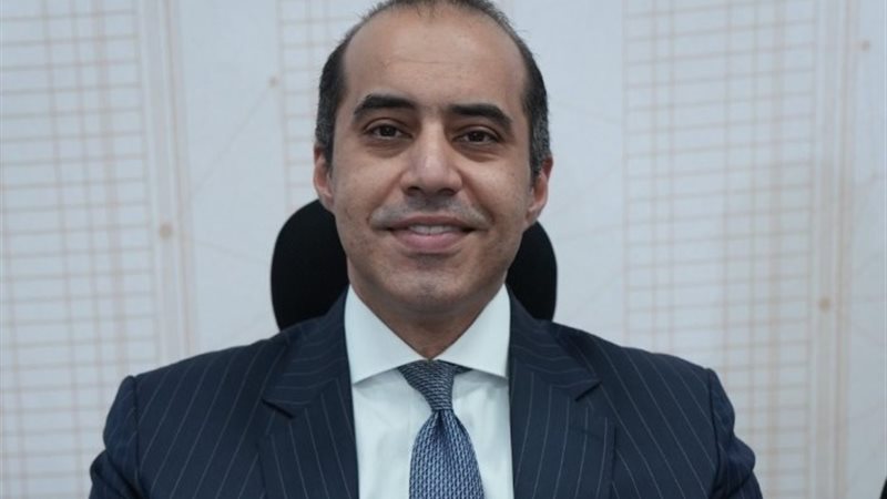 المستشار محمود فوزي