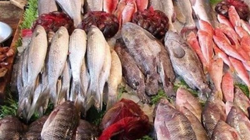 أسعار الأسماك