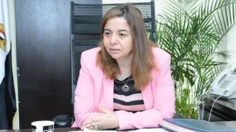 الرئيس التنفيذي لصندوق الإسكان الاجتماعي