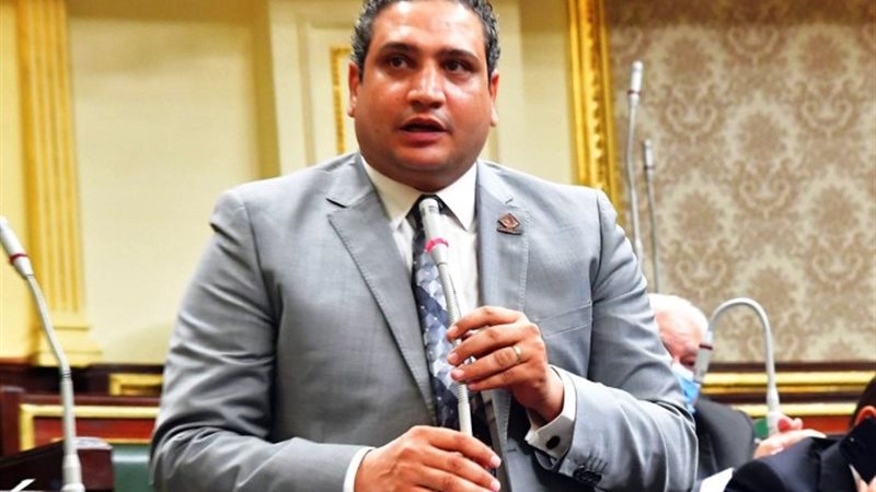 النائب عماد خليل عضو حملة المرشح عبدالفتاح السيسي